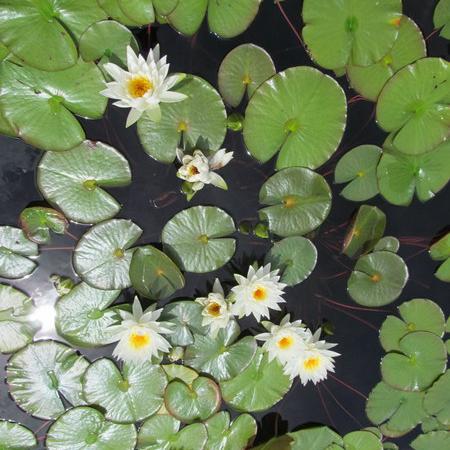 Просмотр увеличенного изображения