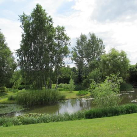 Просмотр увеличенного изображения