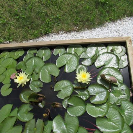 Просмотр увеличенного изображения