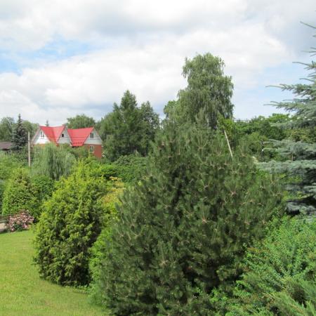 Просмотр увеличенного изображения