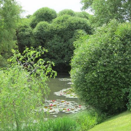 Просмотр увеличенного изображения