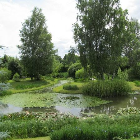 Просмотр увеличенного изображения