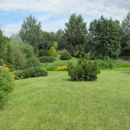 Просмотр увеличенного изображения