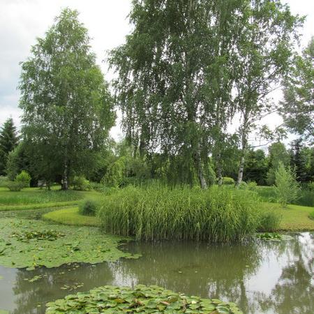 Просмотр увеличенного изображения