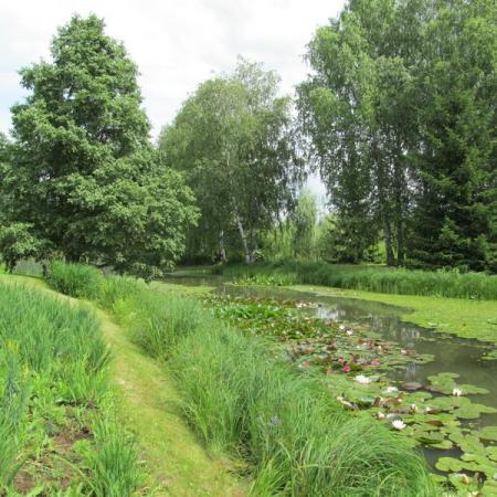 Просмотр увеличенного изображения