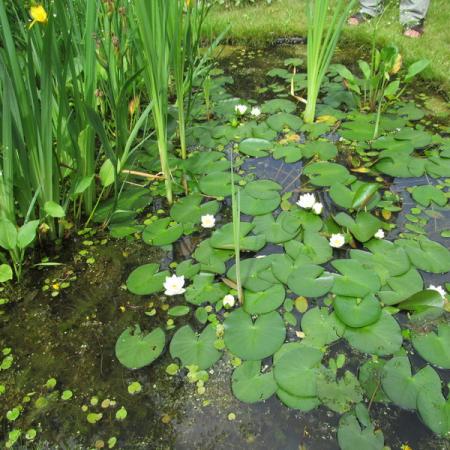 Просмотр увеличенного изображения