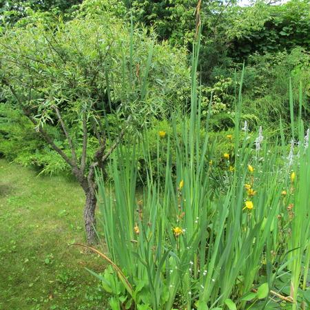 Просмотр увеличенного изображения