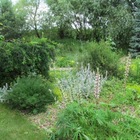 Просмотр увеличенного изображения