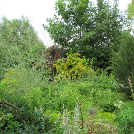 Просмотр увеличенного изображения