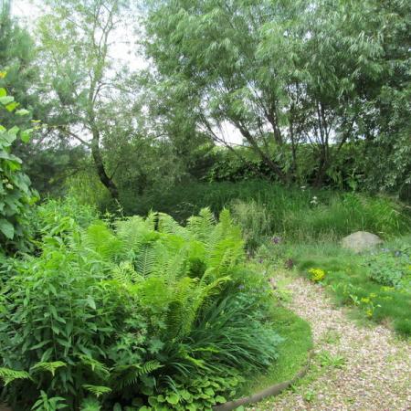 Просмотр увеличенного изображения