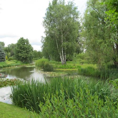 Просмотр увеличенного изображения