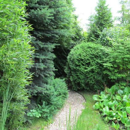 Просмотр увеличенного изображения