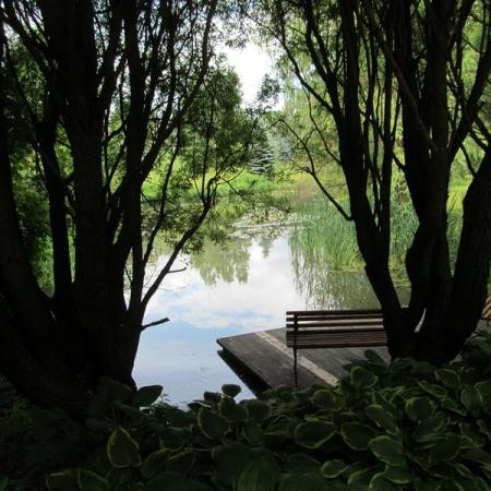 Просмотр увеличенного изображения