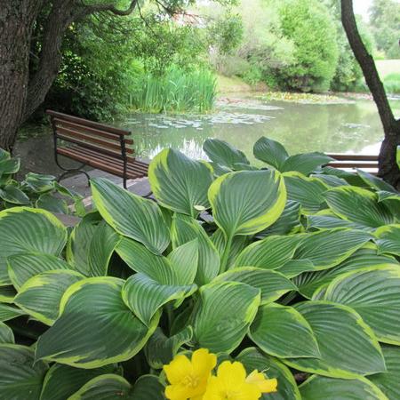 Просмотр увеличенного изображения