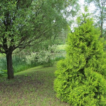 Просмотр увеличенного изображения