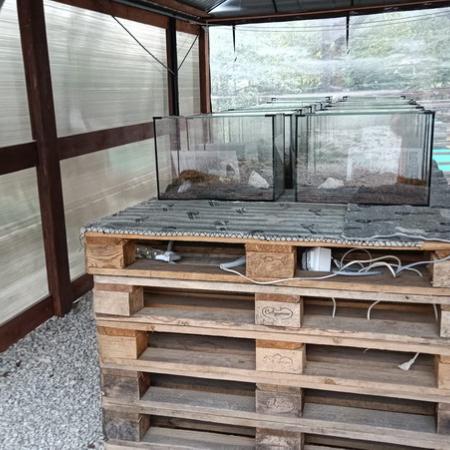 Просмотр увеличенного изображения