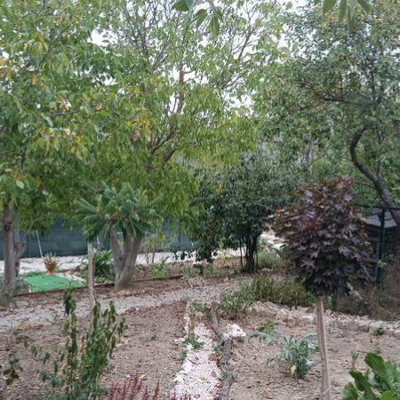 Просмотр увеличенного изображения