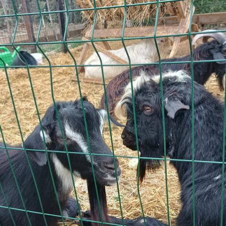 Просмотр увеличенного изображения