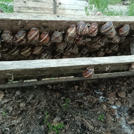 Просмотр увеличенного изображения