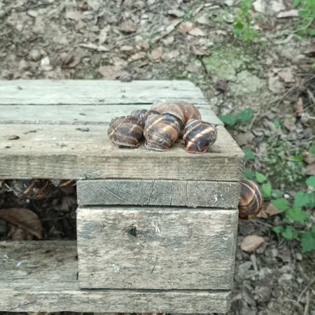 Просмотр увеличенного изображения