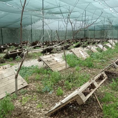 Просмотр увеличенного изображения