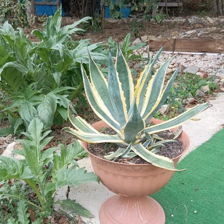 Просмотр увеличенного изображения