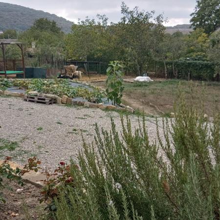 Просмотр увеличенного изображения