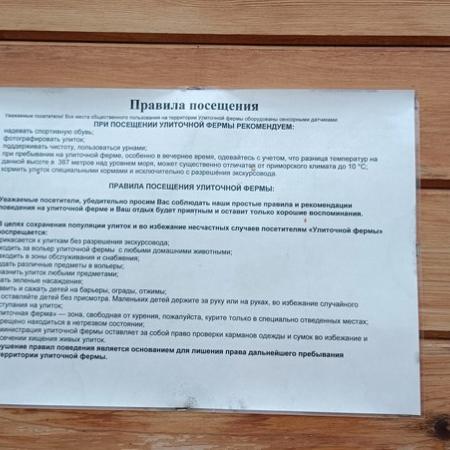 Просмотр увеличенного изображения